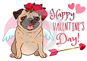 Valentine`s day pug dog pet greeting card. Cute funny pug in love, dressed as Cupid, with wings, heart arrow, red rose flowers