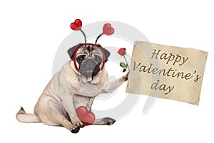 Valentine`s day pug dog sitting down, holding up paper scroll, wearing diadem with hearts