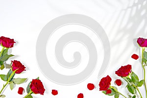 Valentine's day red rose wedding love theme product mockup.