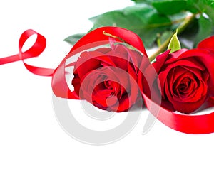 Valentine`s Day. Red roses isolated on white