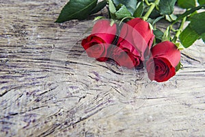 Valentine`s day red roses present with wooden textured backgroun