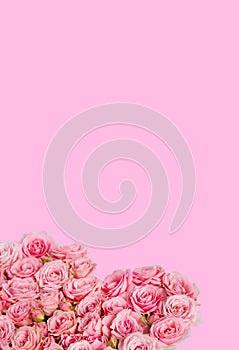 Valentine`s day romantic greeting card. Composition with a heart of pink roses on a pink background.Mothers day. 8 Marth. Banner
