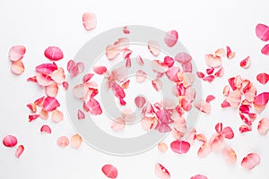 Valentine`s Day. Rose flowers petals on white background. Valentines day background. Flat lay, top view, copy space