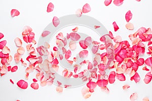 Valentine`s Day. Rose flowers petals on white background. Valentines day background. Flat lay, top view, copy space