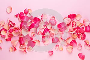 Valentine`s Day. Rose flowers petals on white background. Valentines day background. Flat lay, top view, copy space