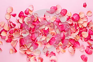 Valentine`s Day. Rose flowers petals on white background. Valentines day background. Flat lay, top view, copy space