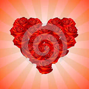 Valentine's Day rose heart