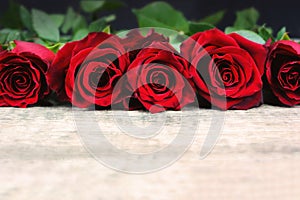 Valentine`s Day Roses in a Line on Rustic Wooden Background