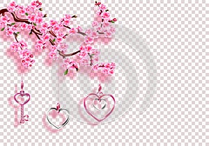 Valentine`s Day. Sakura and jewelry. Branches with pink flowers, leaves and buds with shadow. On a transparent