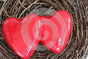 Valentine`s Day, two bright red hearts in a nest.