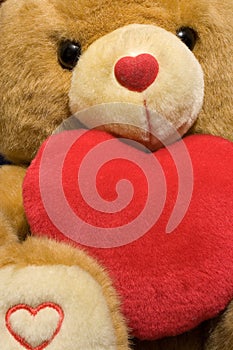 Valentine teddy