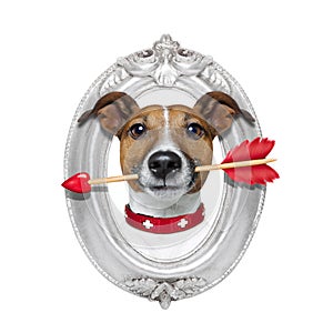 Valentines arrow dog in frame