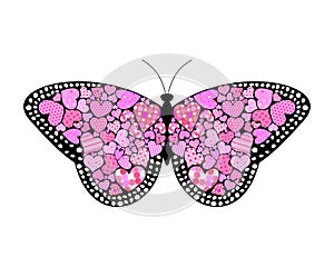 Valentines butterfly