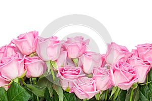 Valentines day background with pink roses