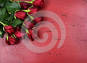 Valentines Day background with red roses