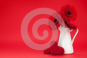 Valentines day card with gerbera flowers
