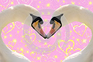 Valentines day concept, two swans making a heart shape together on a pink background with golden sparkling hearts