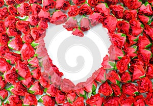 Valentines Day Heart Made of Red Roses Isolated on White Background