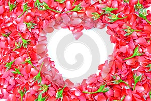 Valentines Day Heart Made of Red Roses Isolated on White Background