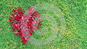 Valentines Day Heart Made of Red Roses petals Isolated on Green Grass background