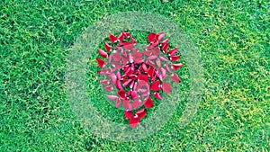 Valentines Day Heart Made of Red Roses petals Isolated on Green Grass background