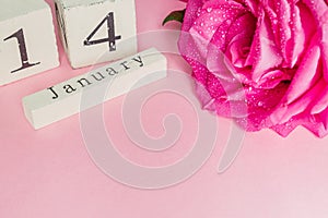 Valentines day and holidays concept - close up of wooden calendar with 14th february date,  and pink rose with water drops  on