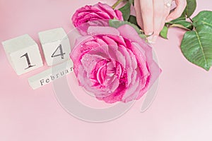 Valentines day and holidays concept - close up of wooden calendar with 14th february date,  and pnk rose with water drops in