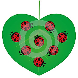 Valentines Day - Love Bugs - Illustration