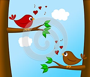 Valentines Day Lovebirds Pair Sitting on Tree