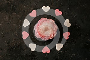 Valentines day newborn background - flower bed with white, pink, red hearts on burgundy backdrop
