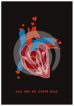 Valentines Day postcard with anatomical heart. Poster for valentine day or wedding with real heart and Quote about love.