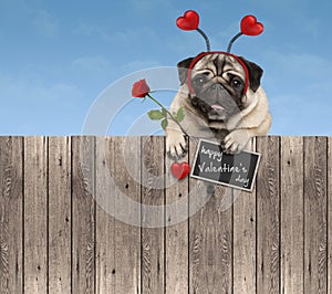 Valentines day pug dog with hearts diadem and rose, hanging on wooden fence
