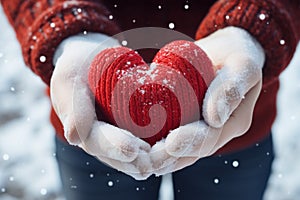 Valentines Day sentiment hands in mittens shaping a snowy heart