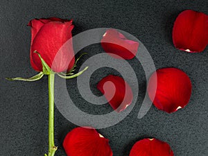 Valentines Day Traditional Red Roses