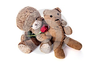 Valentines day. Vintage Teddy lovers with red rose