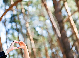 Valentines day or wedding concept. Hands of bride and groom showing heart gesture in pine forest.