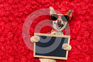 Valentines dog with rose petals