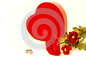 Valentines Engagement Proposal