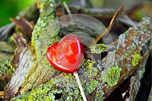 Valentines heart in garden as background