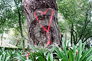 Valentines ribbon heart