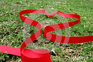 Valentines ribbon heart on the grass