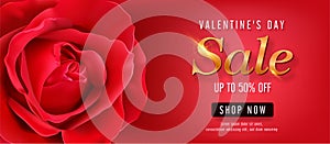 Valentines sale vector banner template. Valentines day store discount promotion with red space for text and rose elements in red