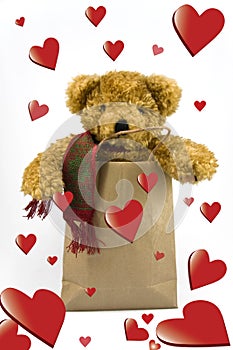 Valentines teddy bear