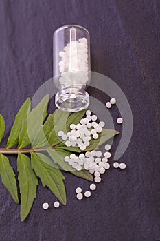 Valerian globule homeopathic