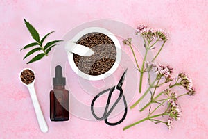 Valerian Herb Root and Flowers for Herbal Medicine