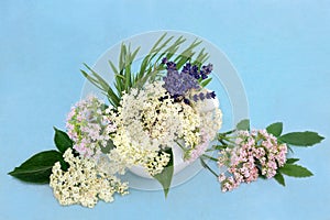 Valerian Lavender and Elder Flower Calming Herbs