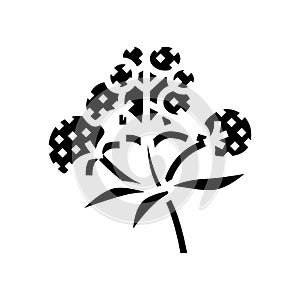 valerian medical herb glyph icon vector illustration