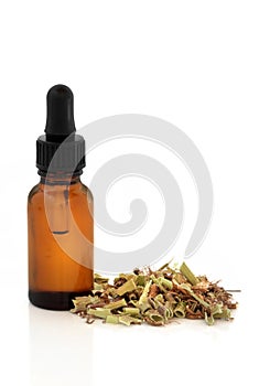 Valerian Root and Tincture Bottle photo