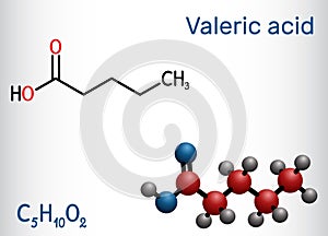 Valeric acid, pentanoic acid or valerate molecule. Structural chemical formula and molecule model