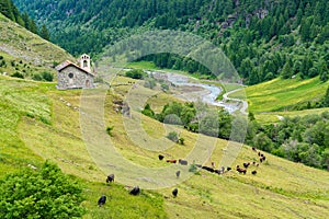 Valgrisenche, Aosta Valley, northern Italy.